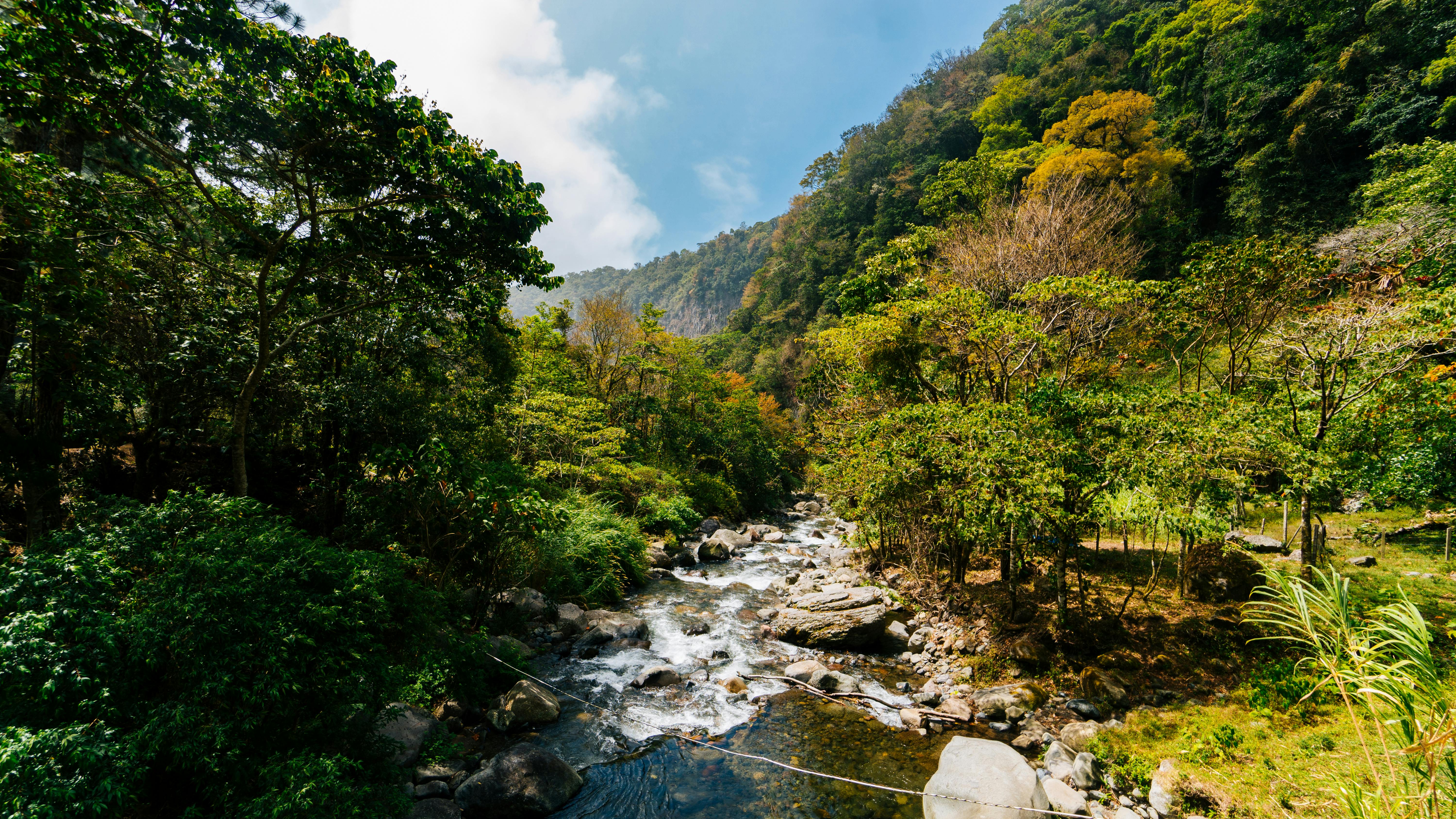 Wilderness